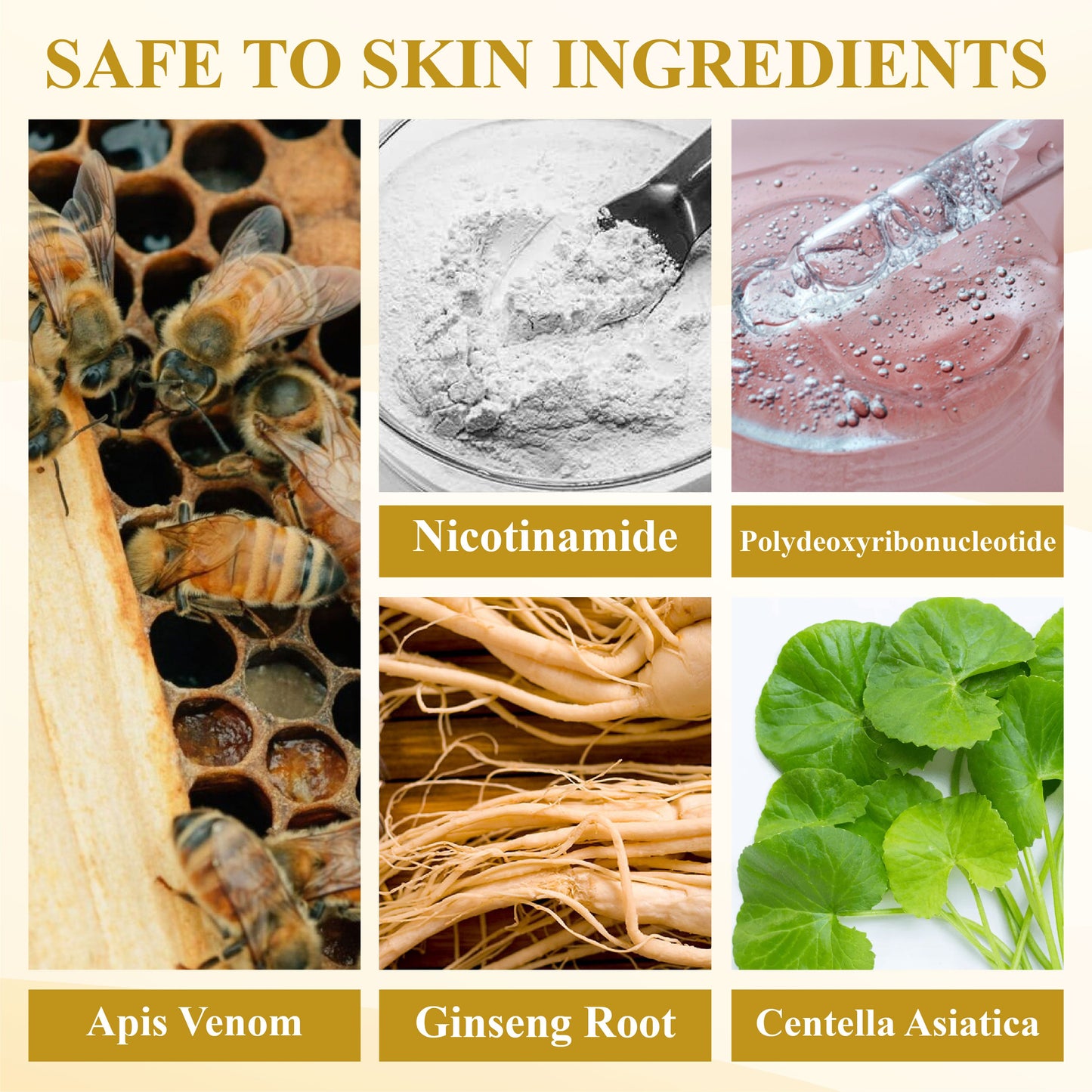 ATTDX® ApisPDRN DermoFirm Lifting Cream