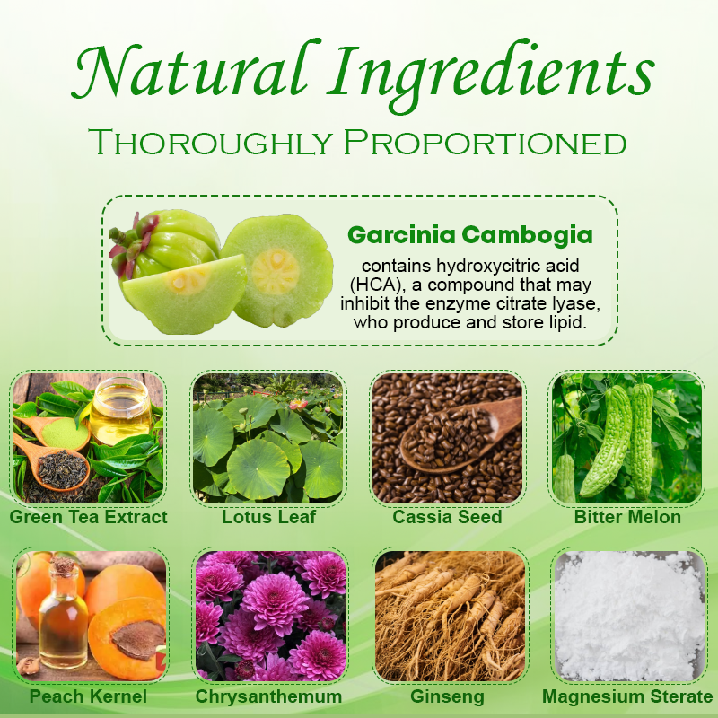Garcinia HCA LipidShred Capsules