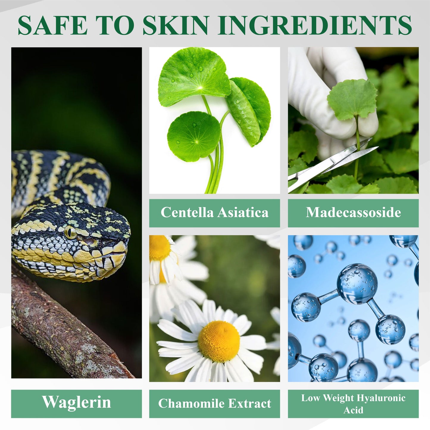 ATTDX® Snake Peptide Shingles Skincare Ampoules