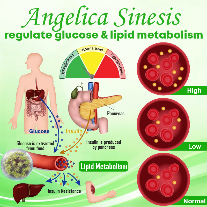 Wormwood GlucoseControl Foot Soak Ball