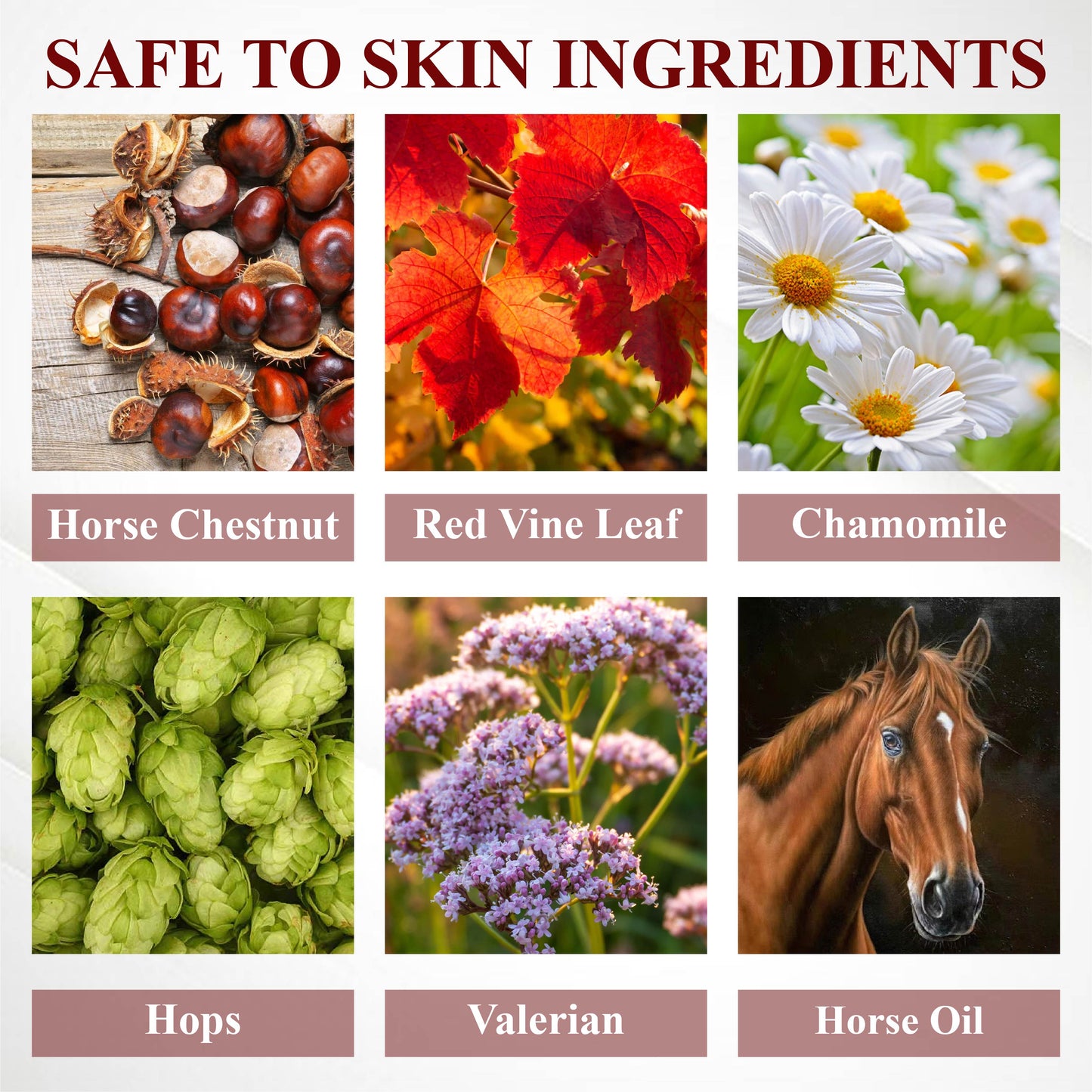 ArthroCareX™ Horse Chestnut Joints and Muscles Massage Gel